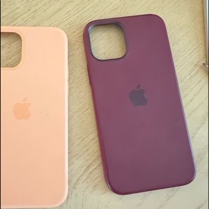 iPhone 12 Pro Max cases